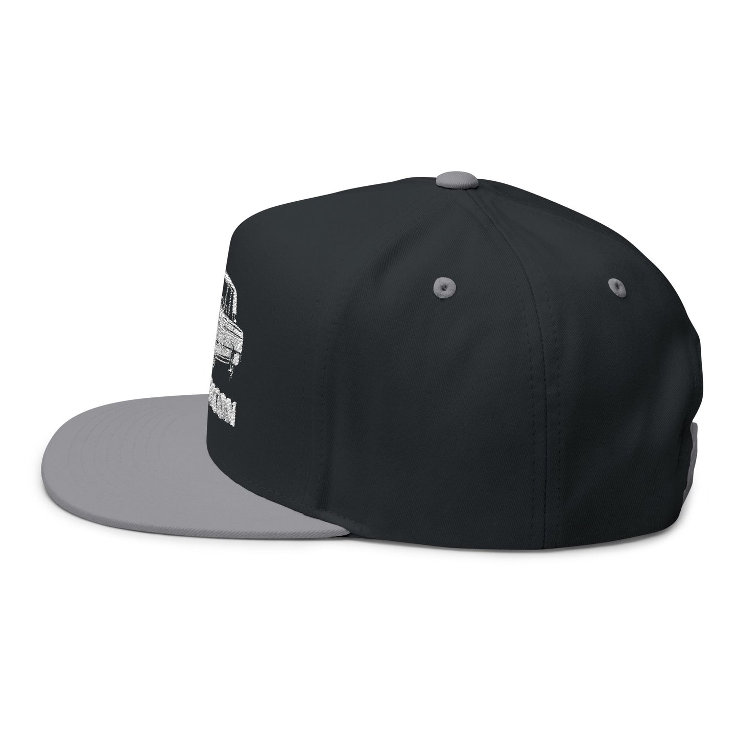 Vintage Icon Embroidered Flat Bill Cap