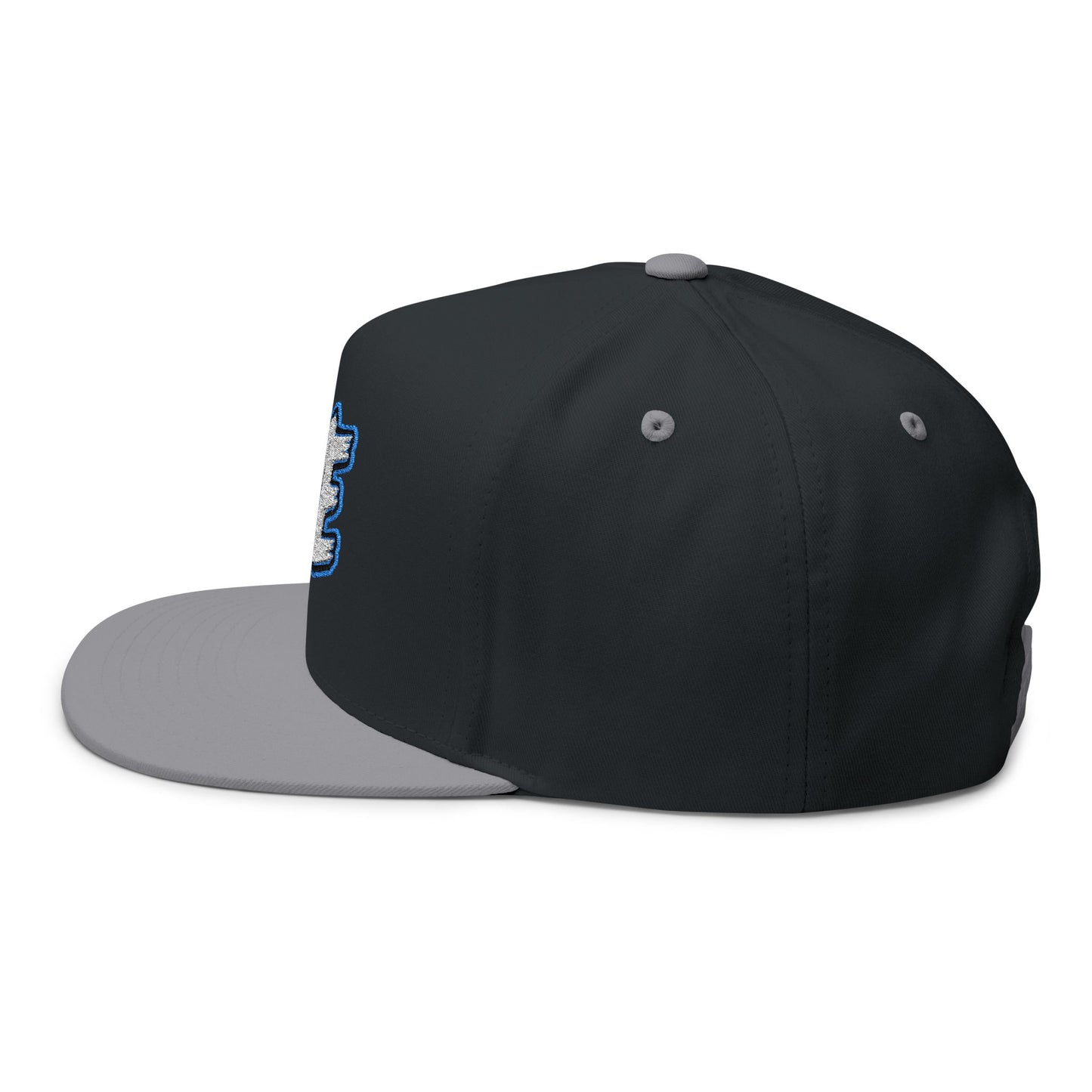 Hye Embroidered Flat Bill Cap