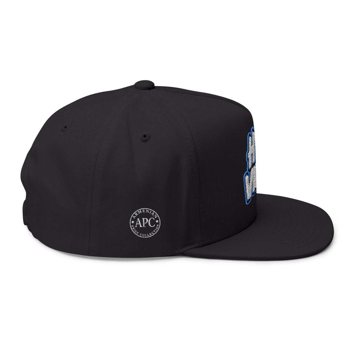 Hye Vibes Embroidered Flat Bill Cap