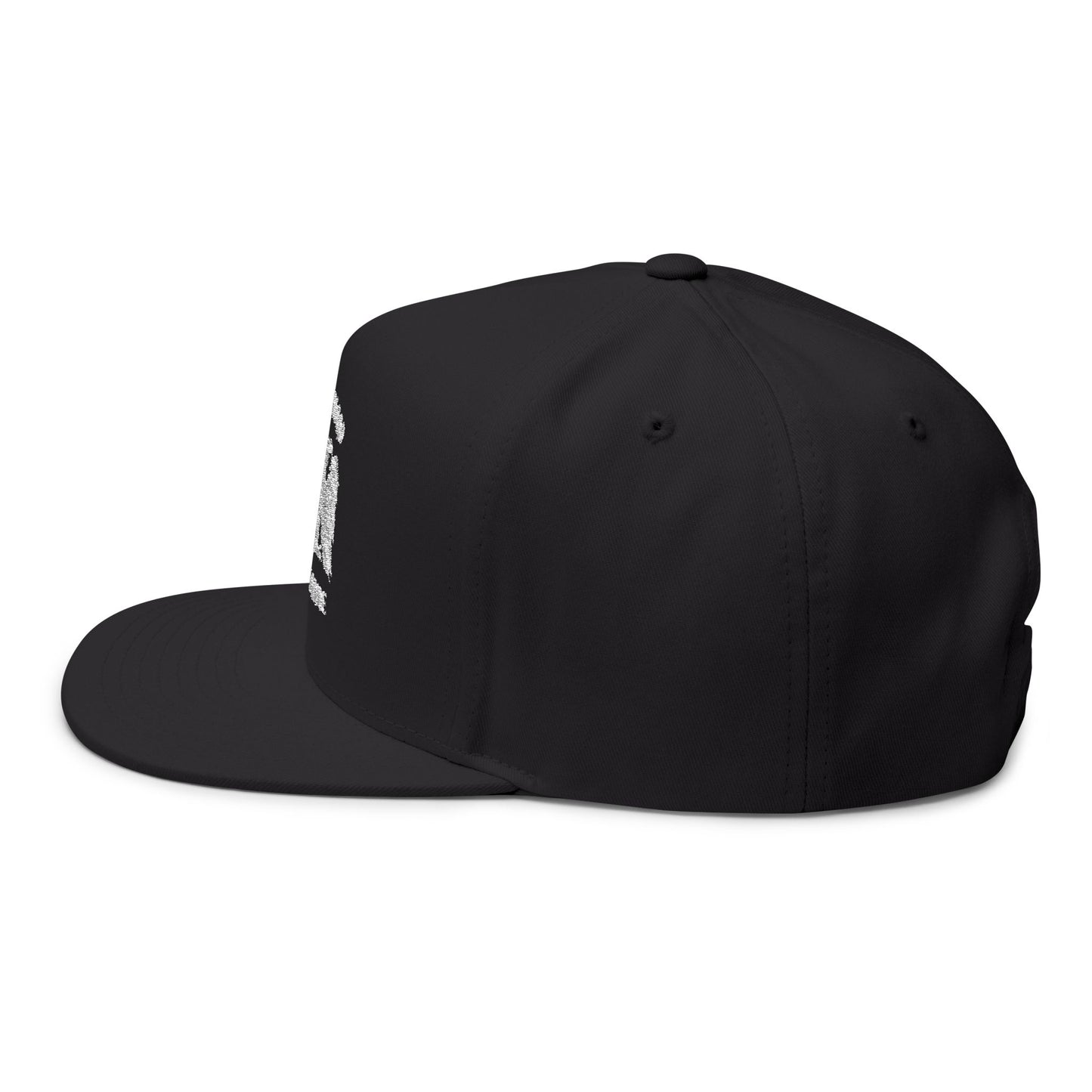 Ancient Blood, Modern Pride Embroidered Flat Bill Cap