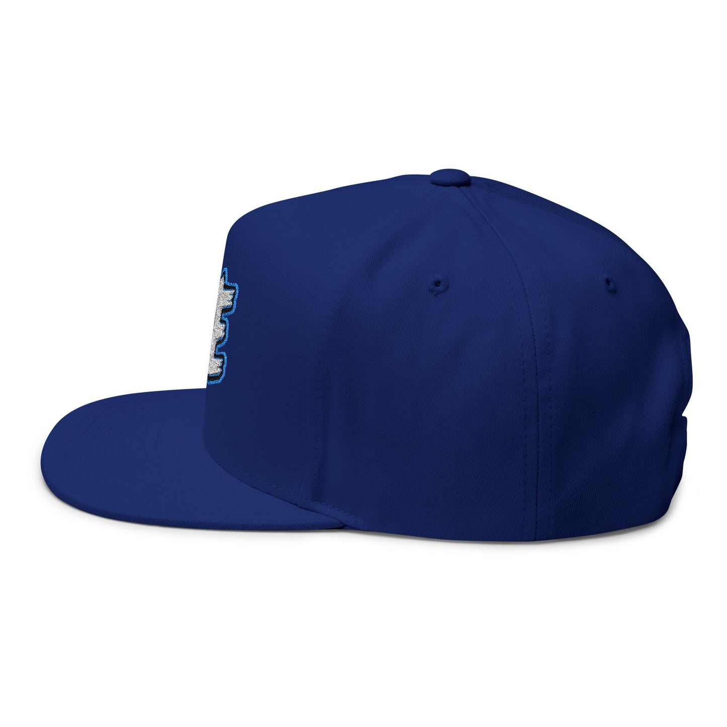 Hye Embroidered Flat Bill Cap