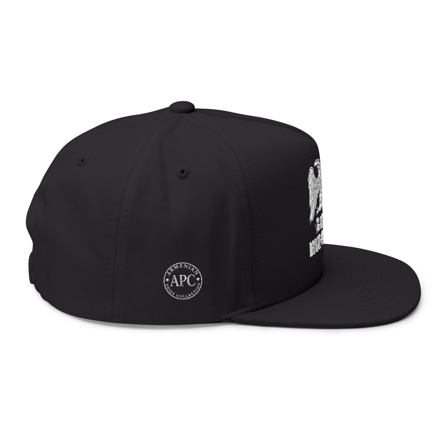 100% Hye Quality Embroidered Flat Bill Cap