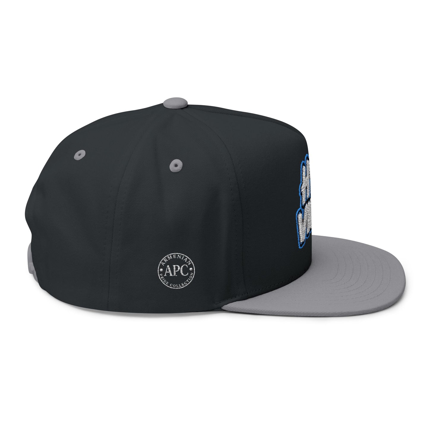 Hye Vibes Embroidered Flat Bill Cap