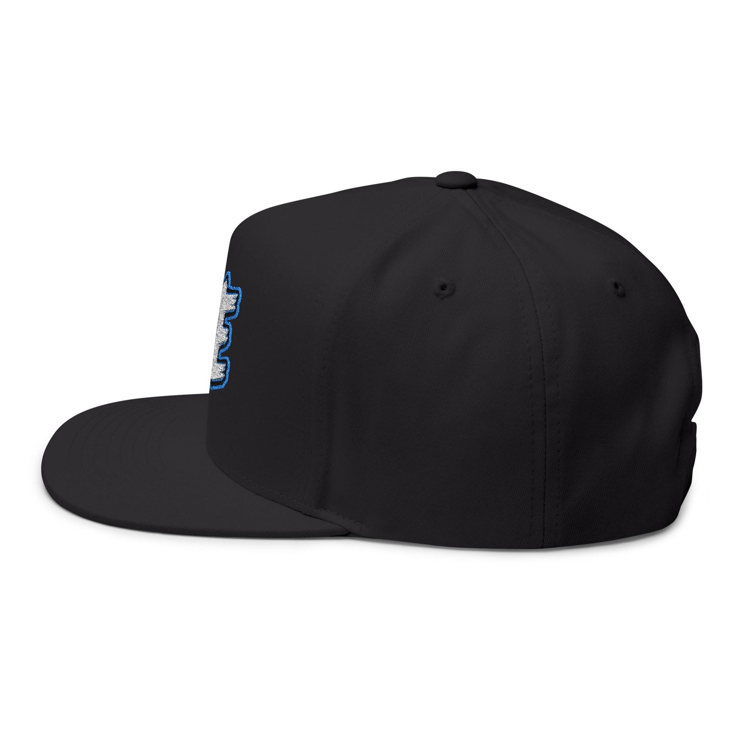 Hye Embroidered Flat Bill Cap