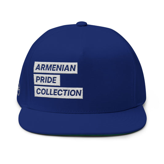 The Cut Out Embroidered Flat Bill Cap