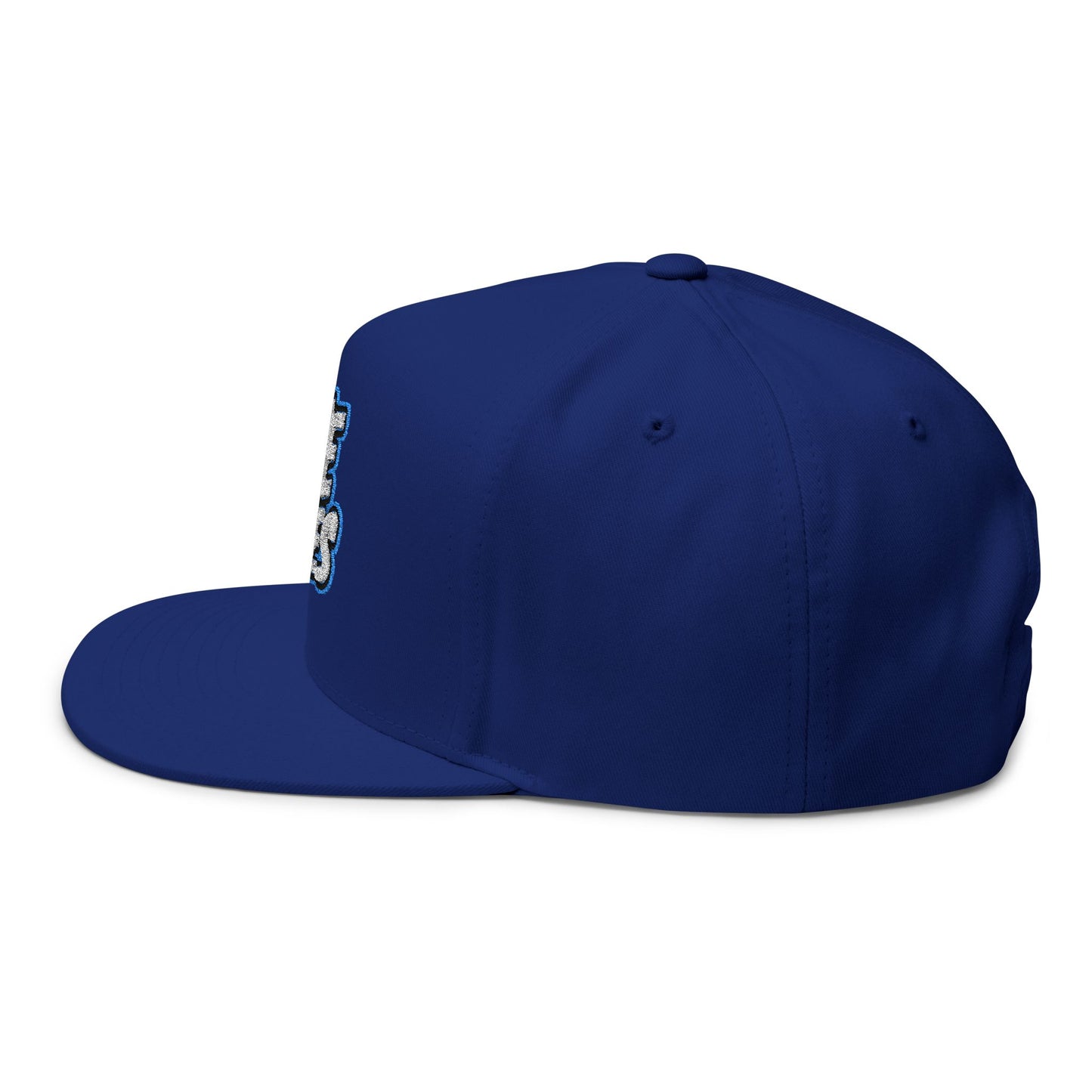 Hye Vibes Embroidered Flat Bill Cap