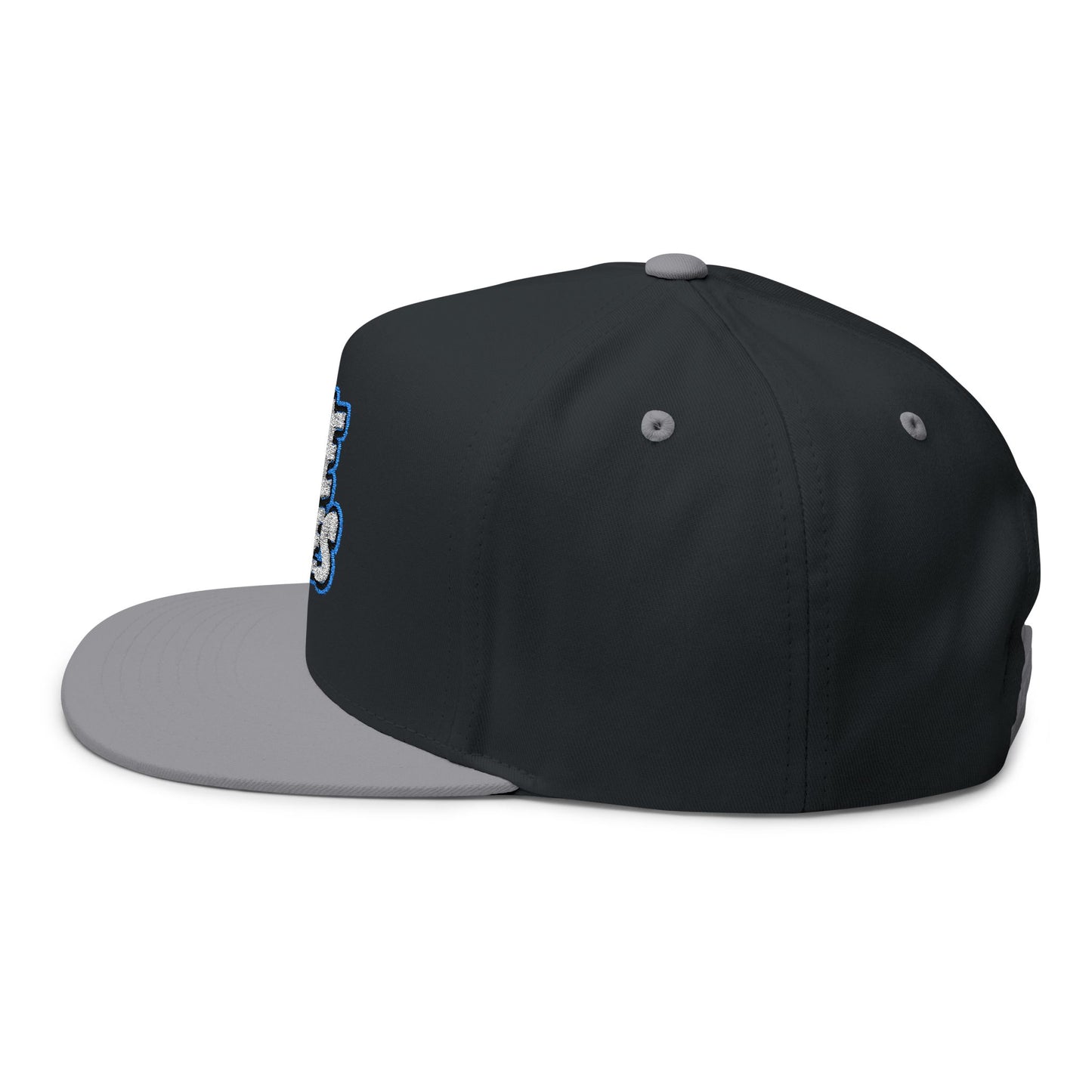 Hye Vibes Embroidered Flat Bill Cap