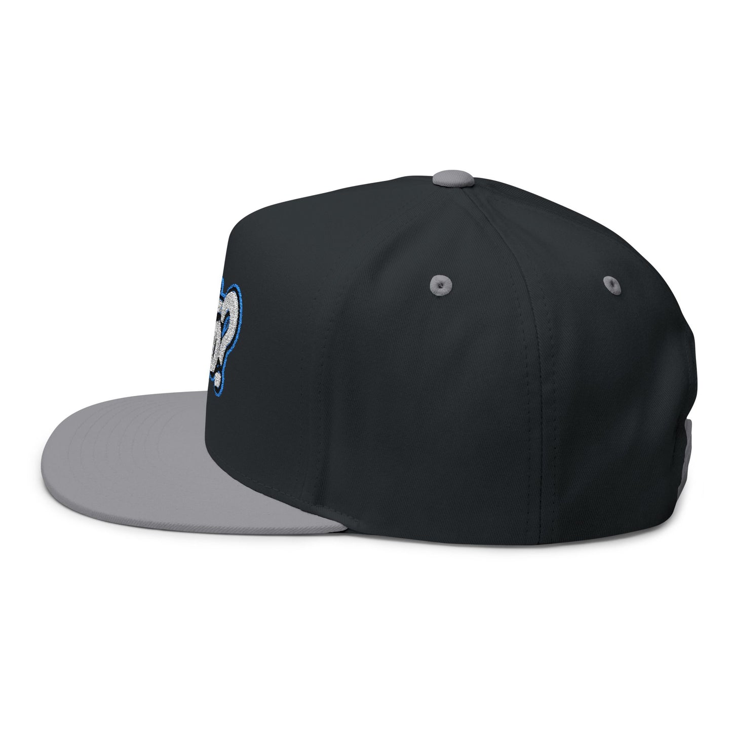 Heto? Embroidered Flat Bill Cap