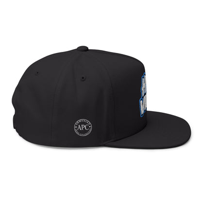 Hye Vibes Embroidered Flat Bill Cap