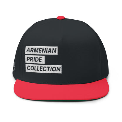 The Cut Out Embroidered Flat Bill Cap
