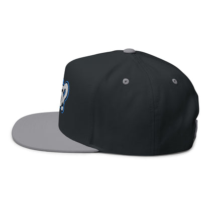 Heto? Embroidered Flat Bill Cap